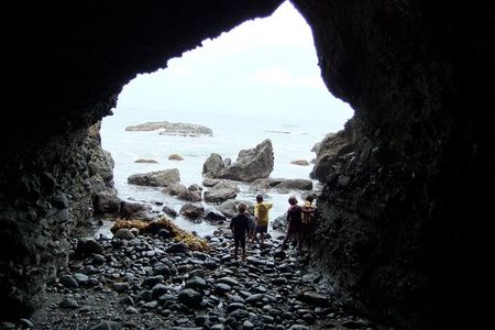 Sea Cave Tide Pool Walk at Dana Point