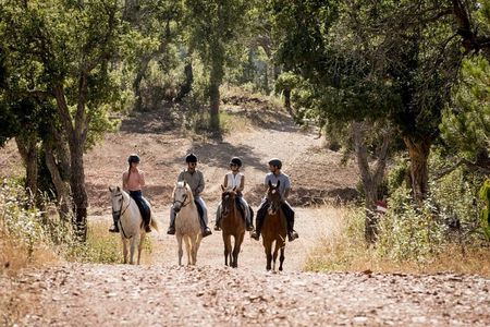 1.5 hr Horseback Riding Montevideo, Uruguay, with transportation