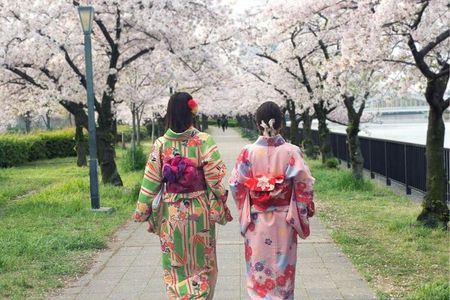Osaka Private Cherry Blossom Tour with a Local – Picnic Included