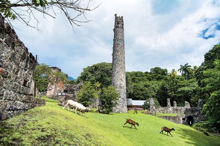 Panoramic Sightseeing Tour of St Kitts