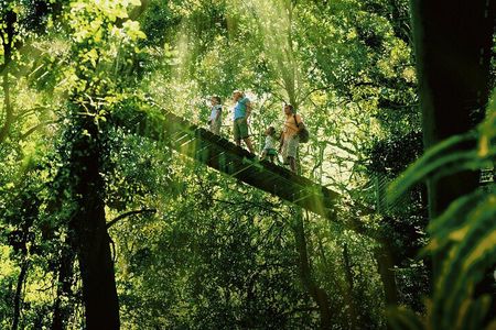 Lamington National Park, O'Reilly's & Vineyard Tour