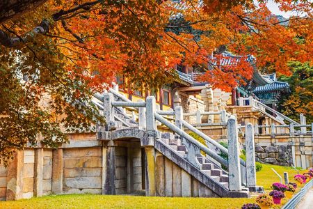 Korail Day Trip to Gyeongju's Unesco World Heritage Sites from Seoul