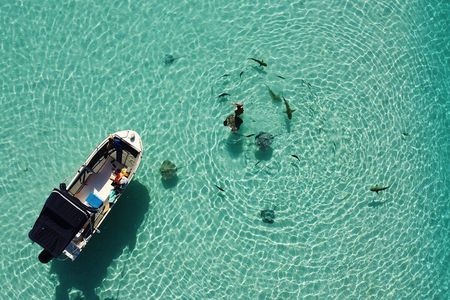 Snorkeling excursion, discovery of the lagoon, small group.