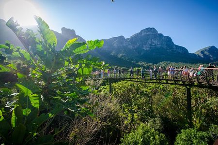 Full Day Private City & Kirstenbosch Gardens