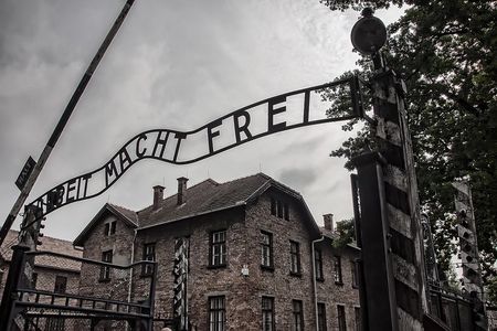Auschwitz-Birkenau Private Tour from Krakow