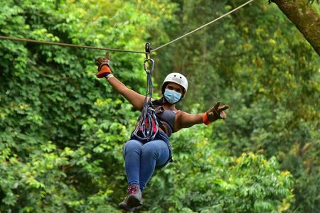 Rainforest Canopy Adventure Pacific
