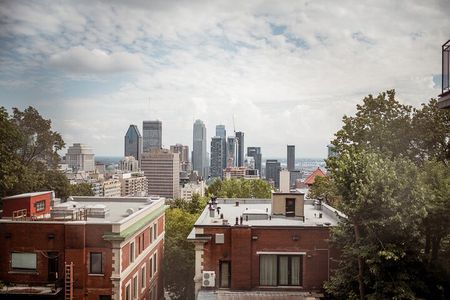 Montreal Walking Tour: Hidden Gems