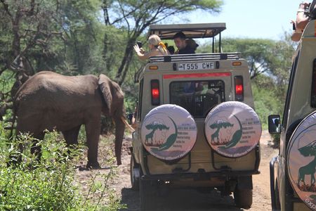 6-Day Big Five Magic Safari Tour