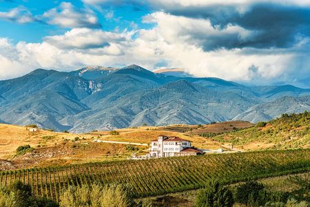 Wine Tasting & More in Villa Melnik – One of the World’s Best Wineries