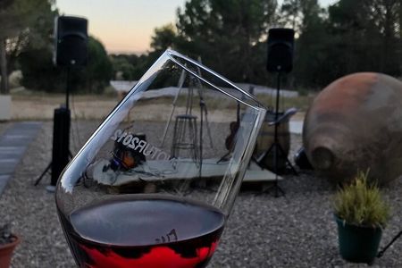 Visit and Wine Tasting at the Territorio Luthier Winery