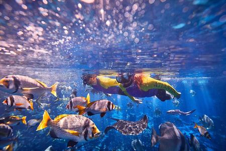 Dubai Lost Chambers Ultimate Snorkel Experience