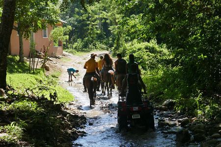 mountain horse back riding
