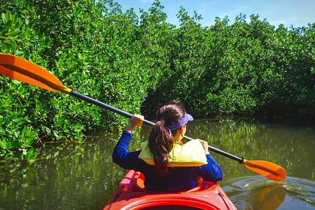 Tropical Kayak Tour