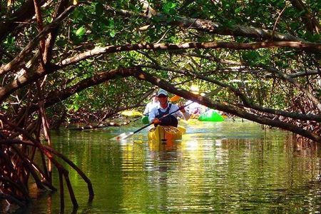 Tropical Kayak Tour