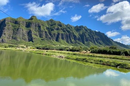 Private Circle Island Off-the-Beaten- Oahu Tour
