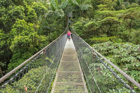 Congo Combo: Thrilling Hanging Bridges and Zipline Adventure