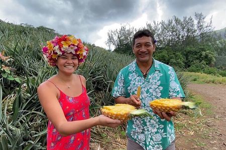 ALBERT TOURS: Excursion 4x4 safari with private SWING view point 