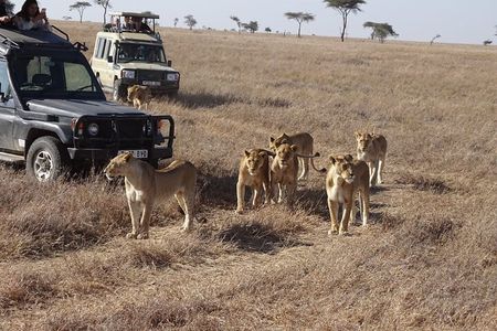 3 days group joining safari to Maasai Mara with a Land Cruiser Jeep
