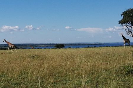 3 Days 2 Nights, Murchison Falls And Wildlife Safari 