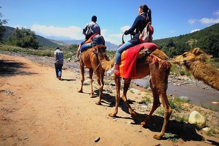 Marrakech: Atlas Mountains and 3 Valleys & Waterfalls Day Tour
