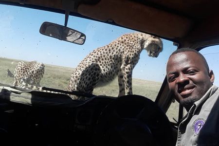 5 Days Tanzania Group Joining Safari, Tarangire/Serengeti/Ngorongoro Crater
