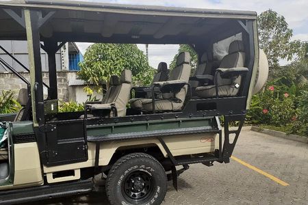 Half-Day Private Tour in Open Jeep at Nairobi Park 