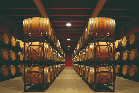 Winery Tour and Wine Tasting in Montepulciano d'Abruzzo