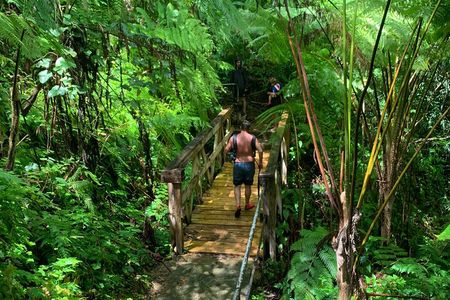 El Yunque National Forest and Luquillo Beach Tour