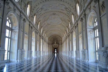 Turin: Reggia of Venaria guided experience