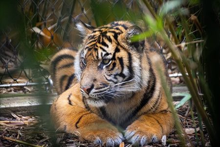 Taronga Zoo Entry & Sydney Harbour 2-Day Hop On Hop Off Cruise