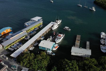 La Parguera Glowing Bioluminescent Bay Boat Tour from San Juan