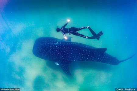 Cabo San Lucas & Southern Baja California: ALL in 6 Days, 1st Class Custom Tours