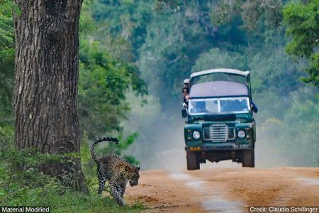 Sri Lanka: See & Experience it ALL in 10 Days, 1st Class Custom Tours