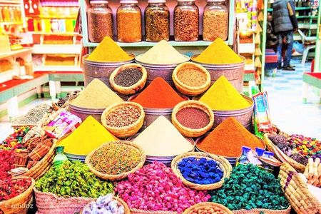 Marrakech authentic half day city tour
