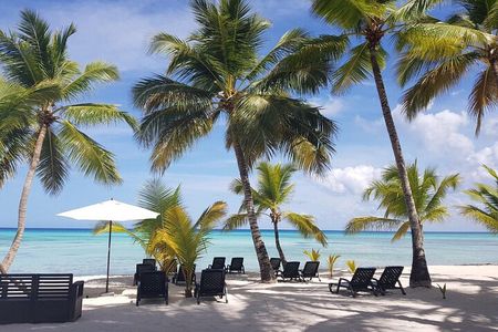 Punta Cana: Saona Island Food And Drink Catamaran Hotel Pickup