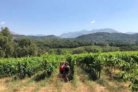 Sperlonga Experience and Wine Tasting Tour