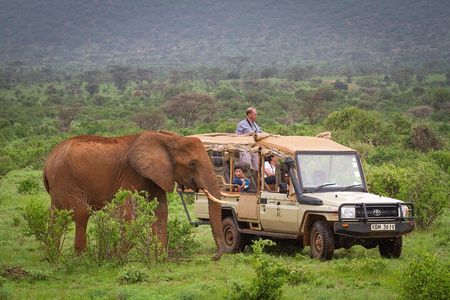 3-Day Samburu Luxury Safari