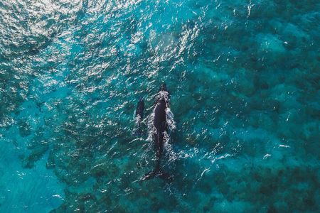 Culebra Power Boat Snorkeling & Beach Tour All Inclusive