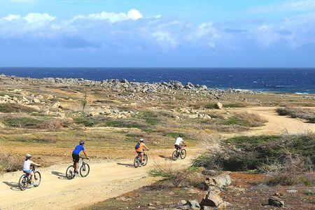 Private Mountain Bike Tour in Aruba