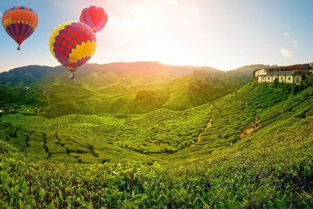 Full Day Cameron Highlands Nature Tour with Hobbitoon Village