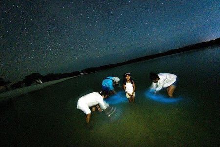 Bioluminescence Tour by Car at Holbox