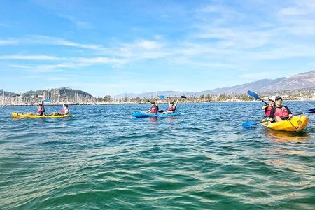 Wildlife Kayak Tour in Santa Barbara Harbor (2 Hours)