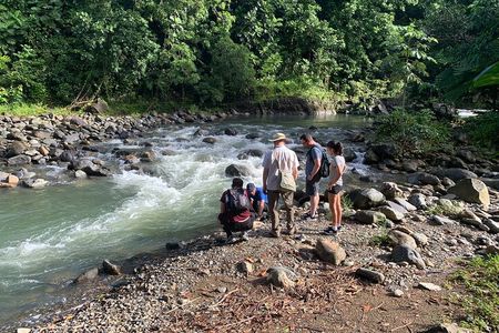  Full-Day Tour: El Yunque, Luquillo Beach, Bio Bay Night Kayaking