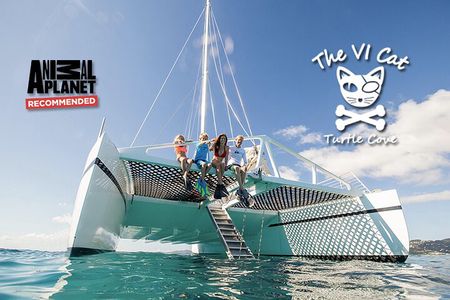 Turtle Cove Catamaran Snorkel and Sail at Little Buck Island