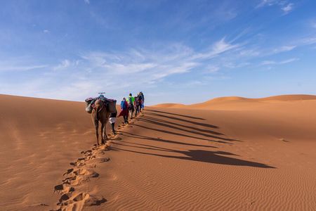 Morocco desert trek (8 days)