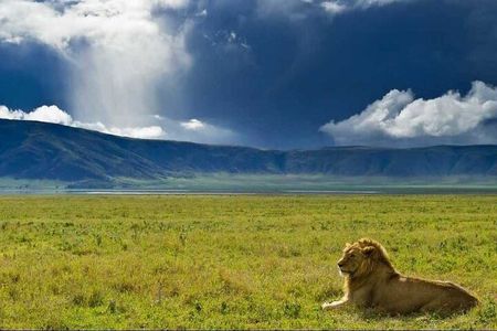 3 Day Sharing Safari - Manyara, Ngorongoro Crater and Tarangire National Parks
