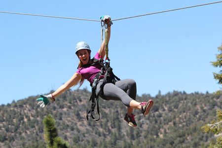 Ziplines & fun suspension bridge