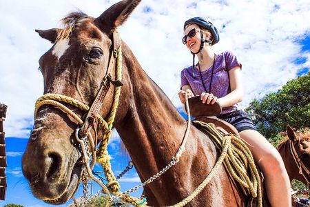Tulum Jungle Horseback Ride + Cenote Dip & Traditional Lunch