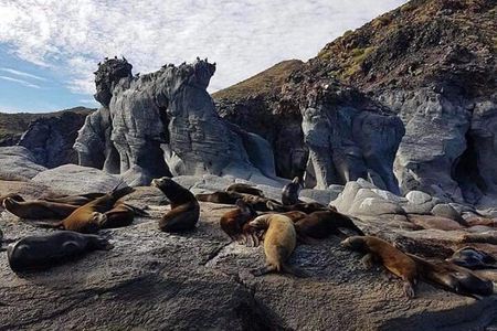 UNESCO World Heritage Site: 1 Day Coronado Island from Loreto Adventure