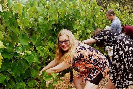 Cape town - Unique Private wine tour Blend & bottle own wine